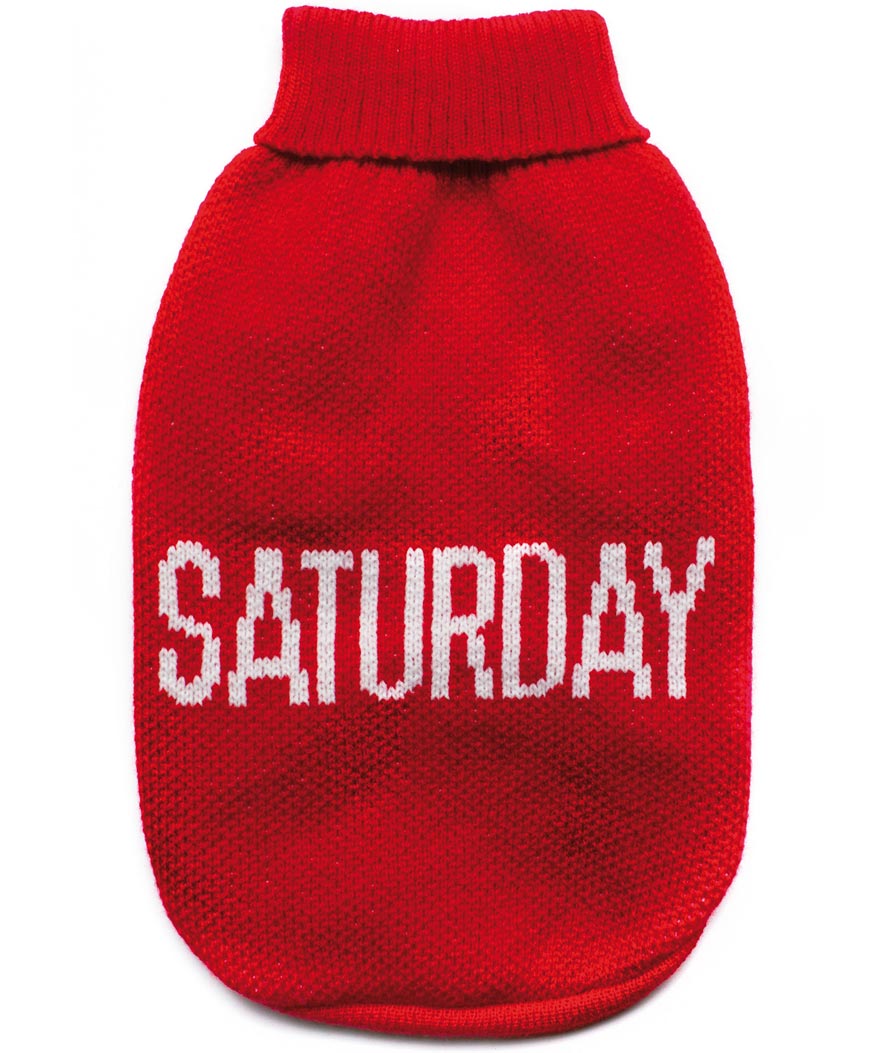 PROMOZIONE Maglione a dolcevita modello Everyday giorno Saturday per cani 25 CM