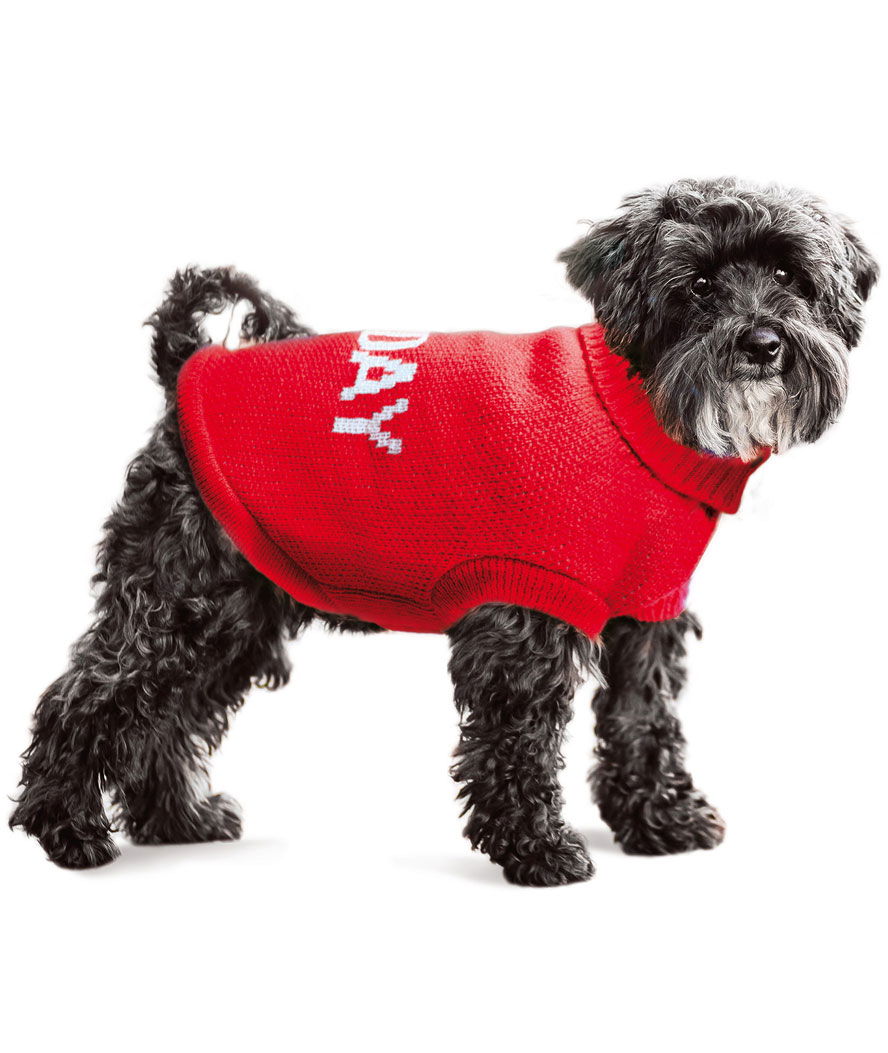PROMOZIONE Maglione a dolcevita modello Everyday giorno Saturday per cani 25 CM - foto 2