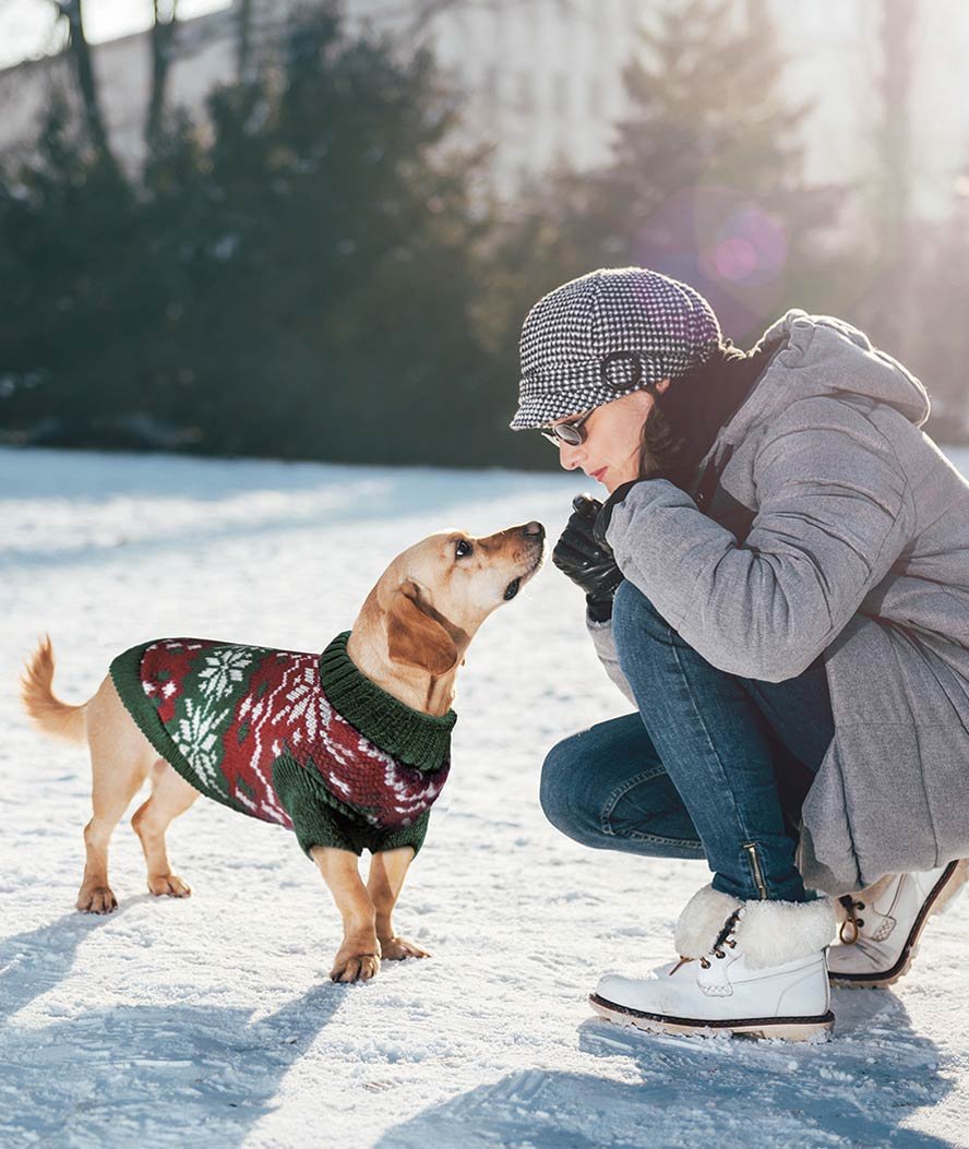 Maglione Norvegese natalizio a mezza manica per cani - foto 3