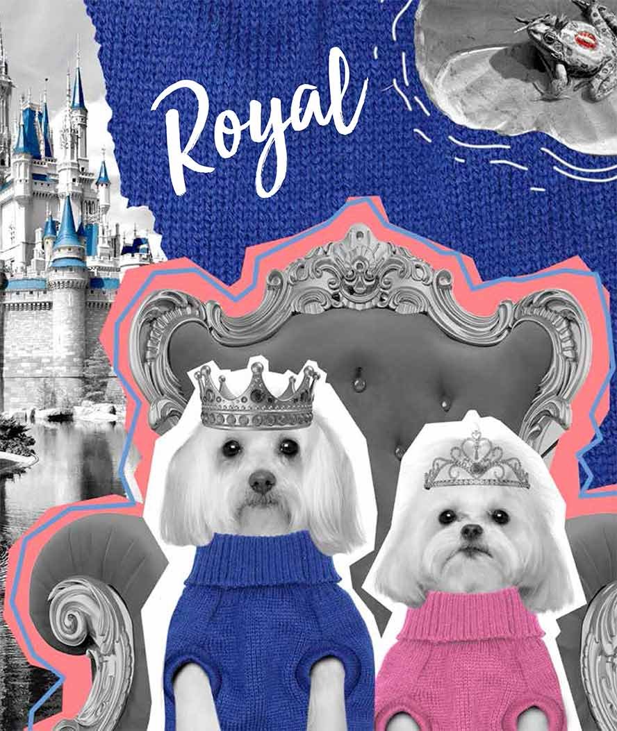 Maglioncino per cani a collo alto modello Royal Prince - foto 1