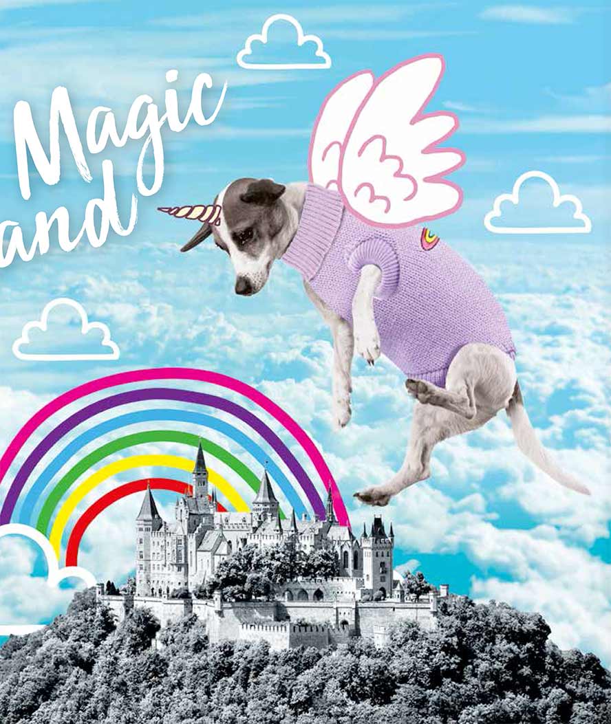 Maglioncino per cani a collo alto con patch modello Magic Land - foto 1