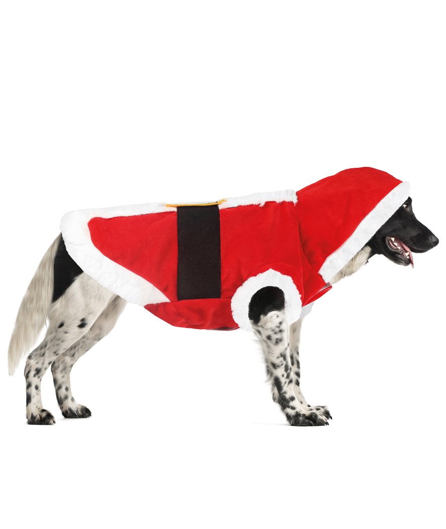 Cappottino da Babbo Natale per cani  - foto 1