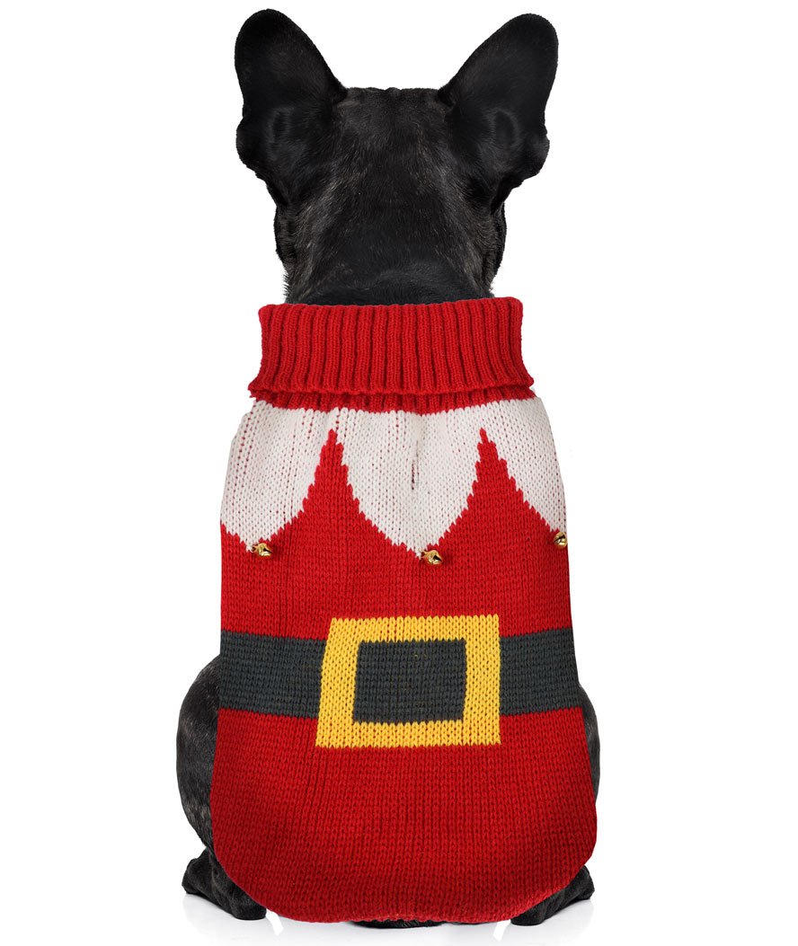 Maglioncino di Natale a collo alto modello Elfo rosso per cani 