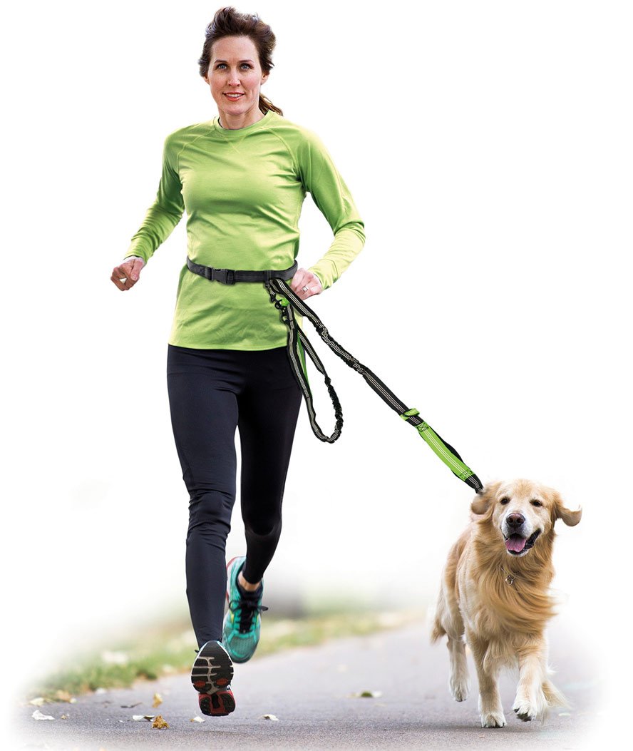 Guinzaglio Jogging in nylon con estensore elastico per cani - foto 1