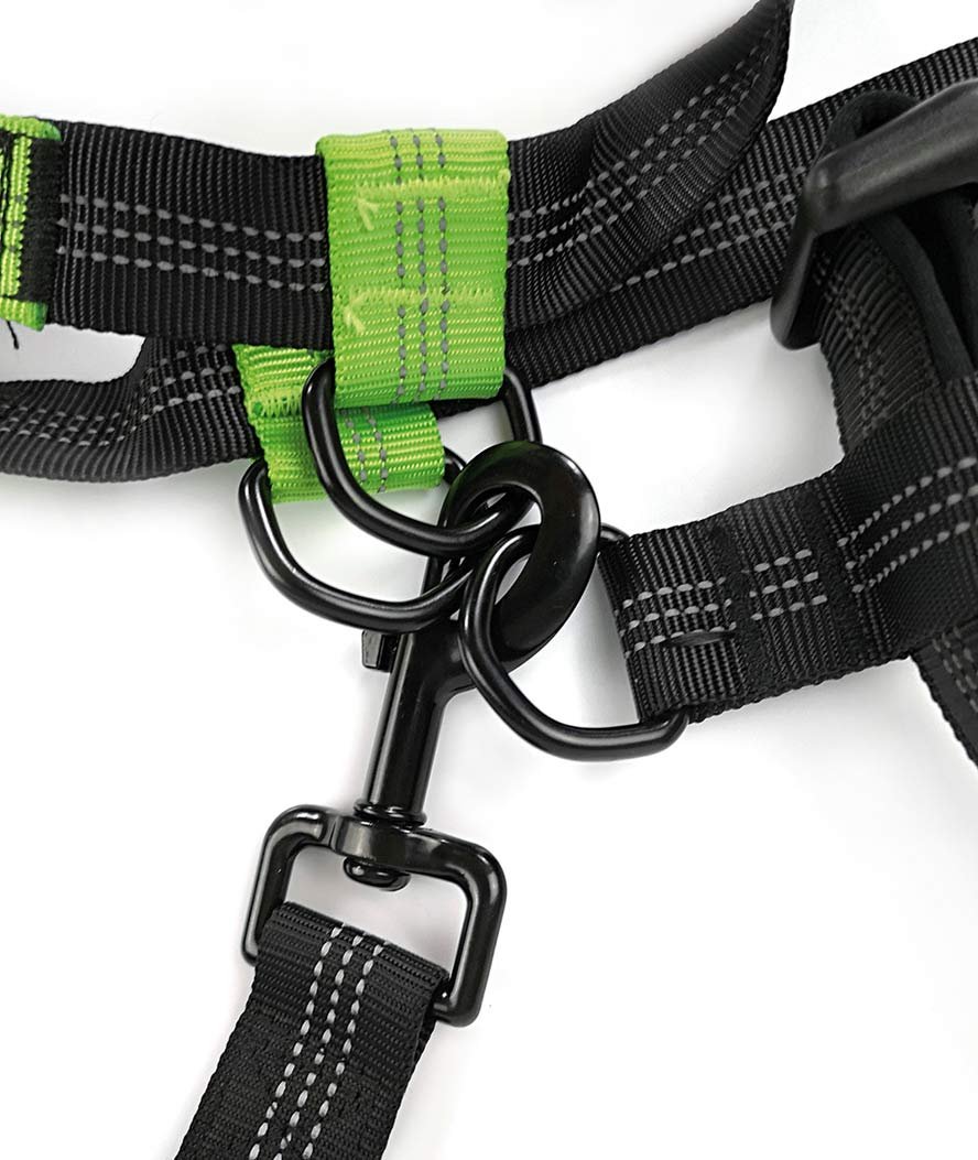 Guinzaglio Jogging in nylon con estensore elastico per cani - foto 2
