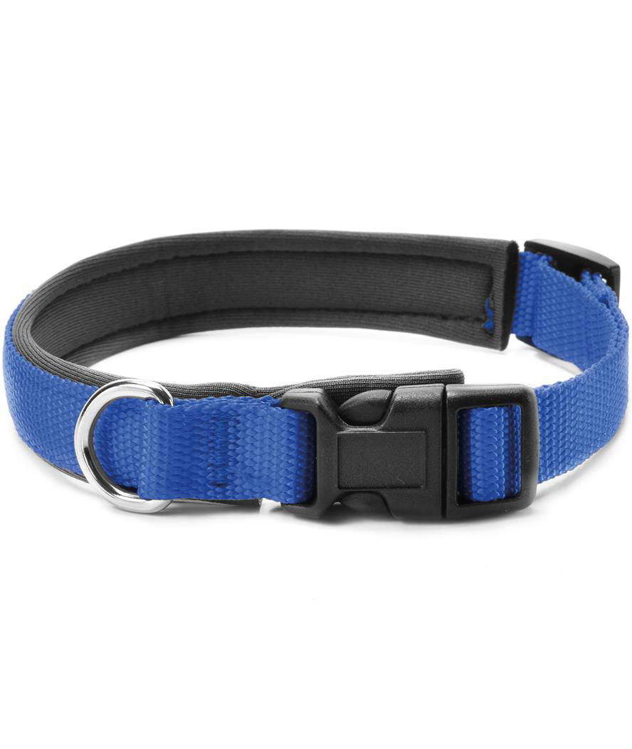 Collare in nylon con rivestimento in neoprene e clip in plastica per cani  - foto 1