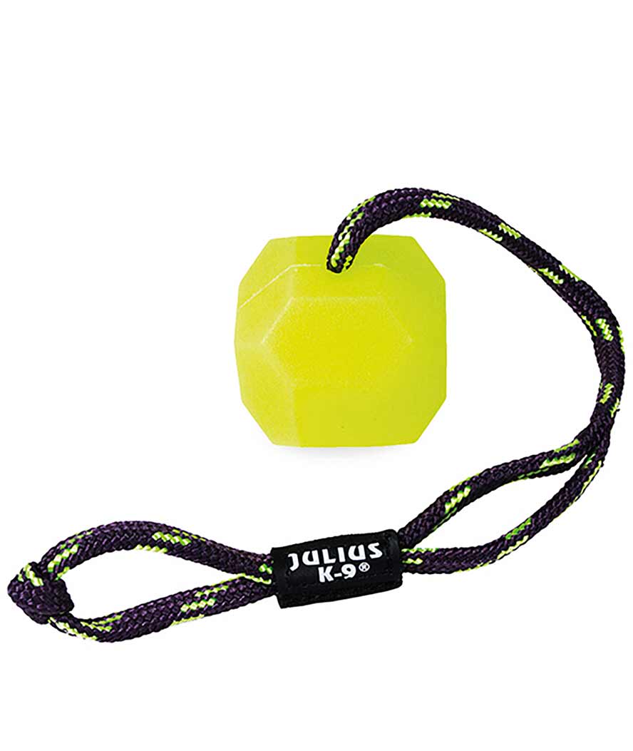 Gioco Julius K9 in silicone duro neon fluorescente per cani