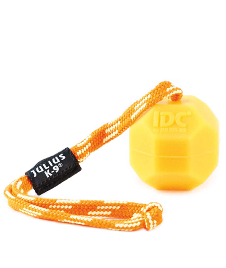 Gioco Julius K9 in silicone morbido neon fluorescente per cani