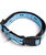 Collare in nylon con clip in plastica rigida Linea Ossini per cani