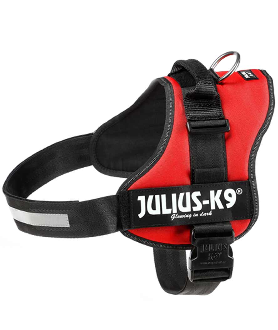 Pettorina Julius K9 PowerHarness per città e passeggiate Tg 2XL misura 3 torace 82-115 cm peso 40-80 kg