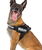 Pettorina Julius K9 IDC PowerHarness Tg 0 torace 58-76 cm peso 14-25 kg - foto 12