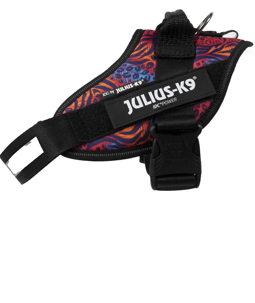 Pettorina Julius K9 IDC PowerHarness Tg 0 torace 58-76 cm peso 14-25 kg - foto 17