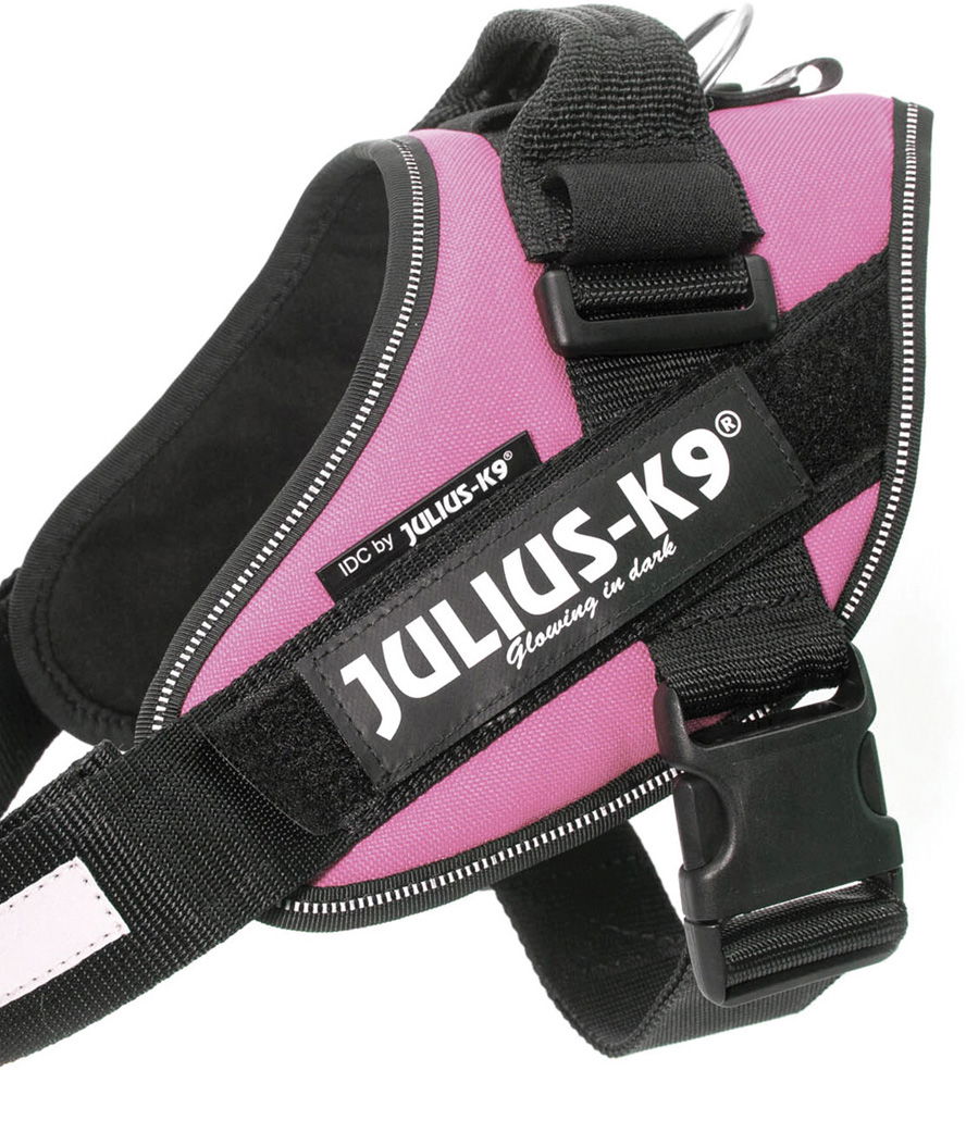 Pettorina Julius K9 IDC PowerHarness Tg 0 torace 58-76 cm peso 14-25 kg - foto 4