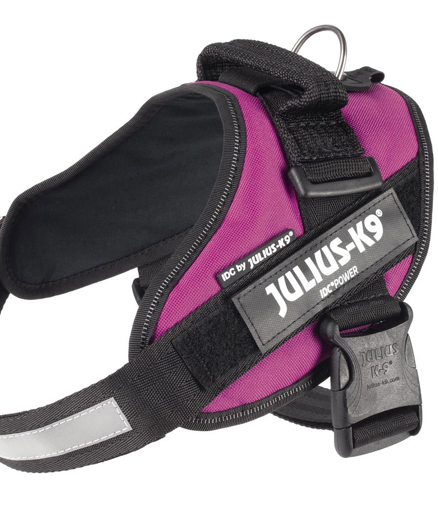 Pettorina Julius K9 IDC PowerHarness Tg 0 torace 58-76 cm peso 14-25 kg - foto 5