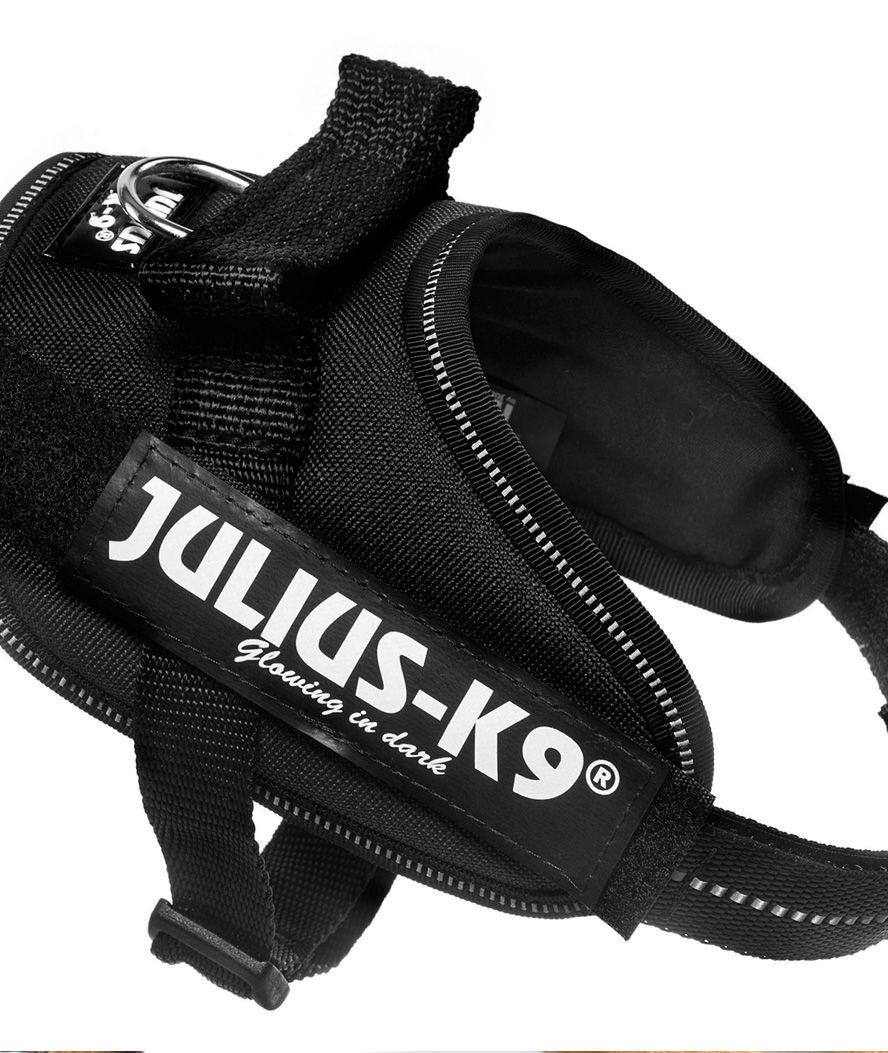 Pettorina Julius K9 IDC PowerHarness Tg 1 torace 63-85 cm peso 23-30 kg - foto 11