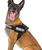 Pettorina Julius K9 IDC PowerHarness Tg 1 torace 63-85 cm peso 23-30 kg - foto 12