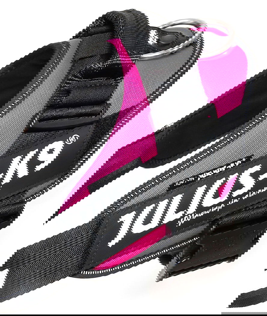 Pettorina Julius K9 IDC PowerHarness Tg 1 torace 63-85 cm peso 23-30 kg - foto 19