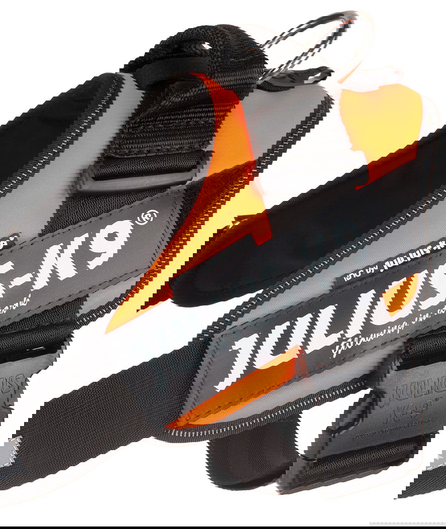 Pettorina Julius K9 IDC PowerHarness Tg 1 torace 63-85 cm peso 23-30 kg - foto 9