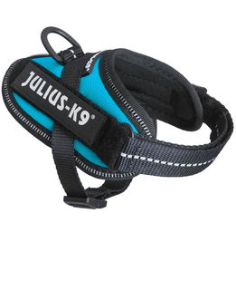 Pettorina Julius K9 per cani IDC Power Harness Baby 1