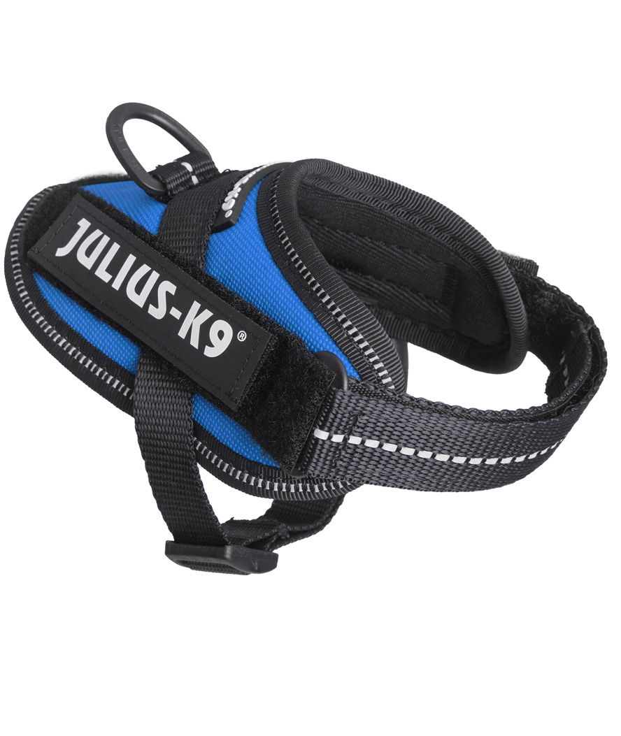 Pettorina Julius K9 IDC PowerHarness Tg Baby 1 torace 29-36 cm peso 0,8-3 kg - foto 1