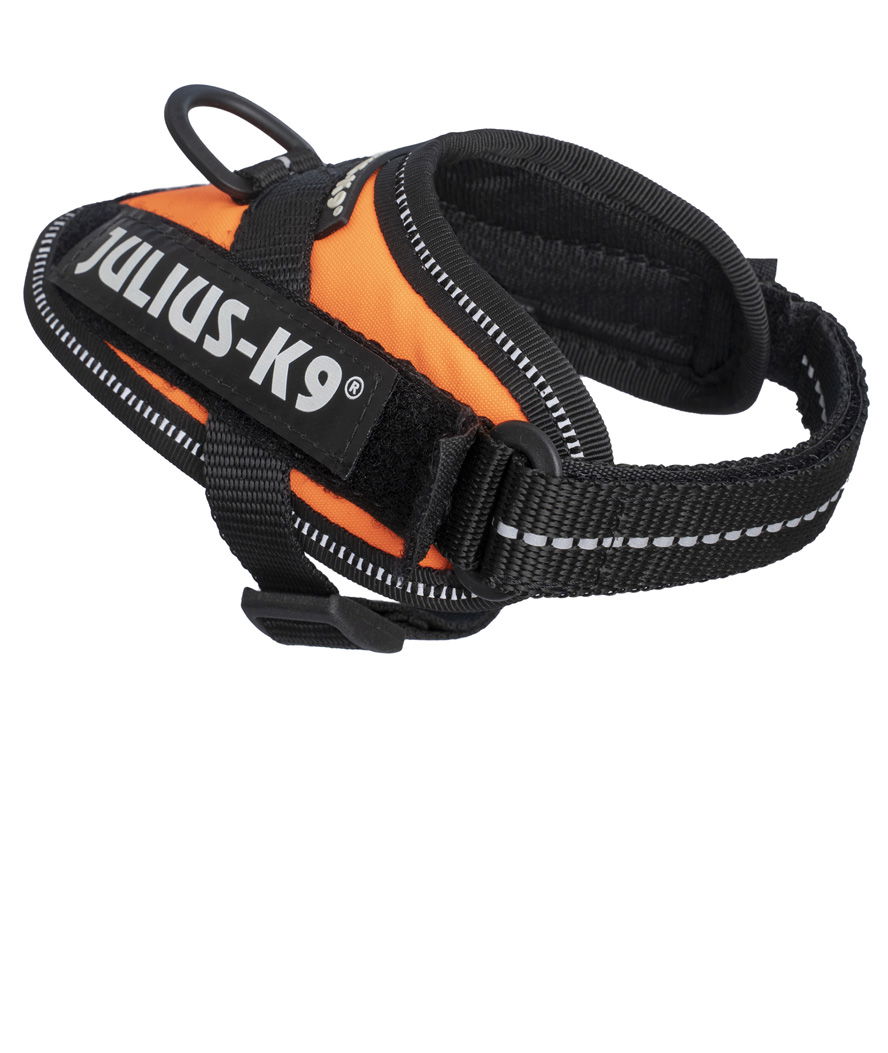 Pettorina Julius K9 IDC PowerHarness Tg Baby 1 torace 29-36 cm peso 0,8-3 kg - foto 11