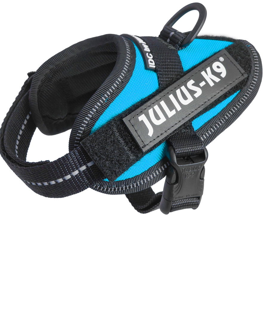 Pettorina Julius K9 IDC PowerHarness Tg Baby 1 torace 29-36 cm peso 0,8-3 kg - foto 13