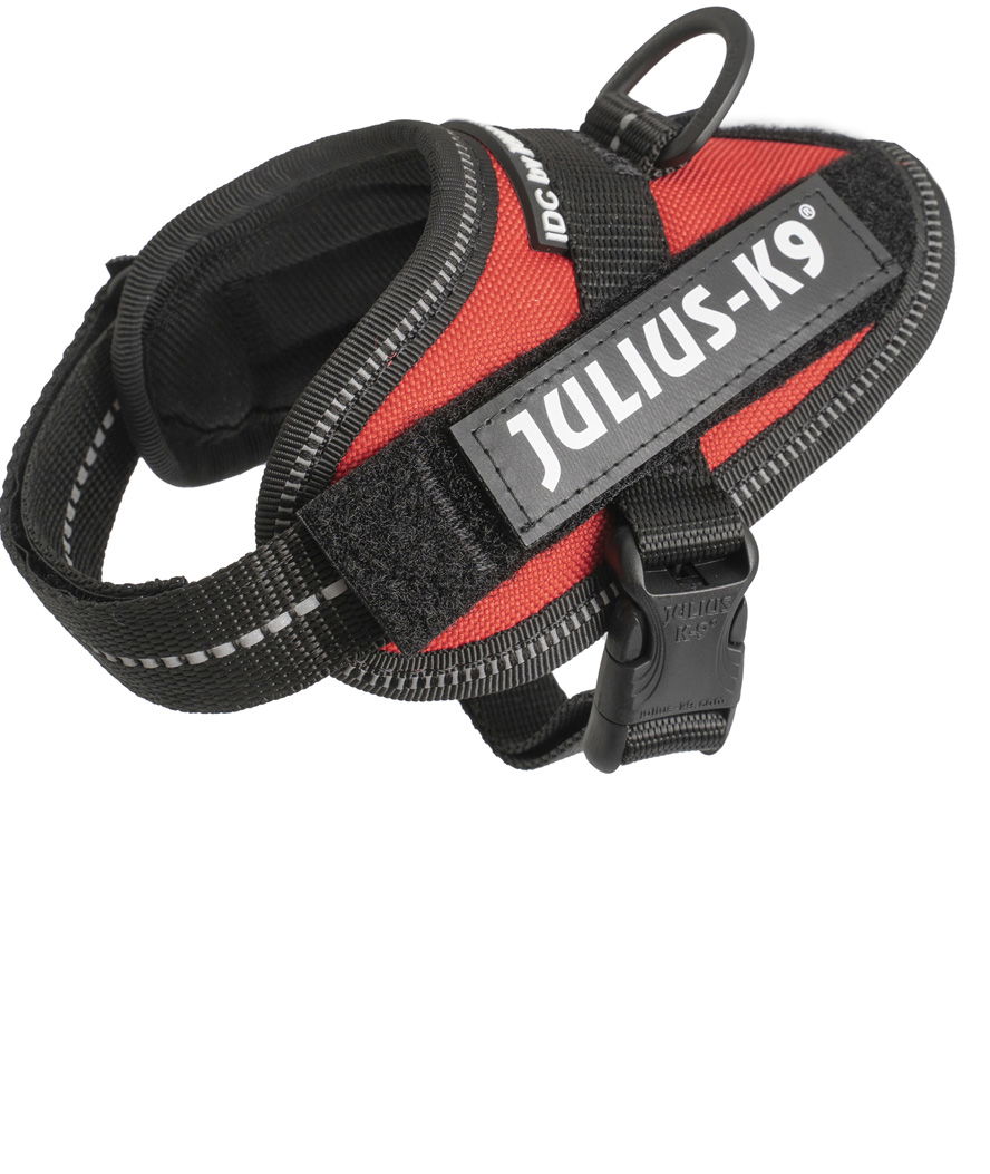 Pettorina Julius K9 IDC PowerHarness Tg Baby 1 torace 29-36 cm peso 0,8-3 kg - foto 14