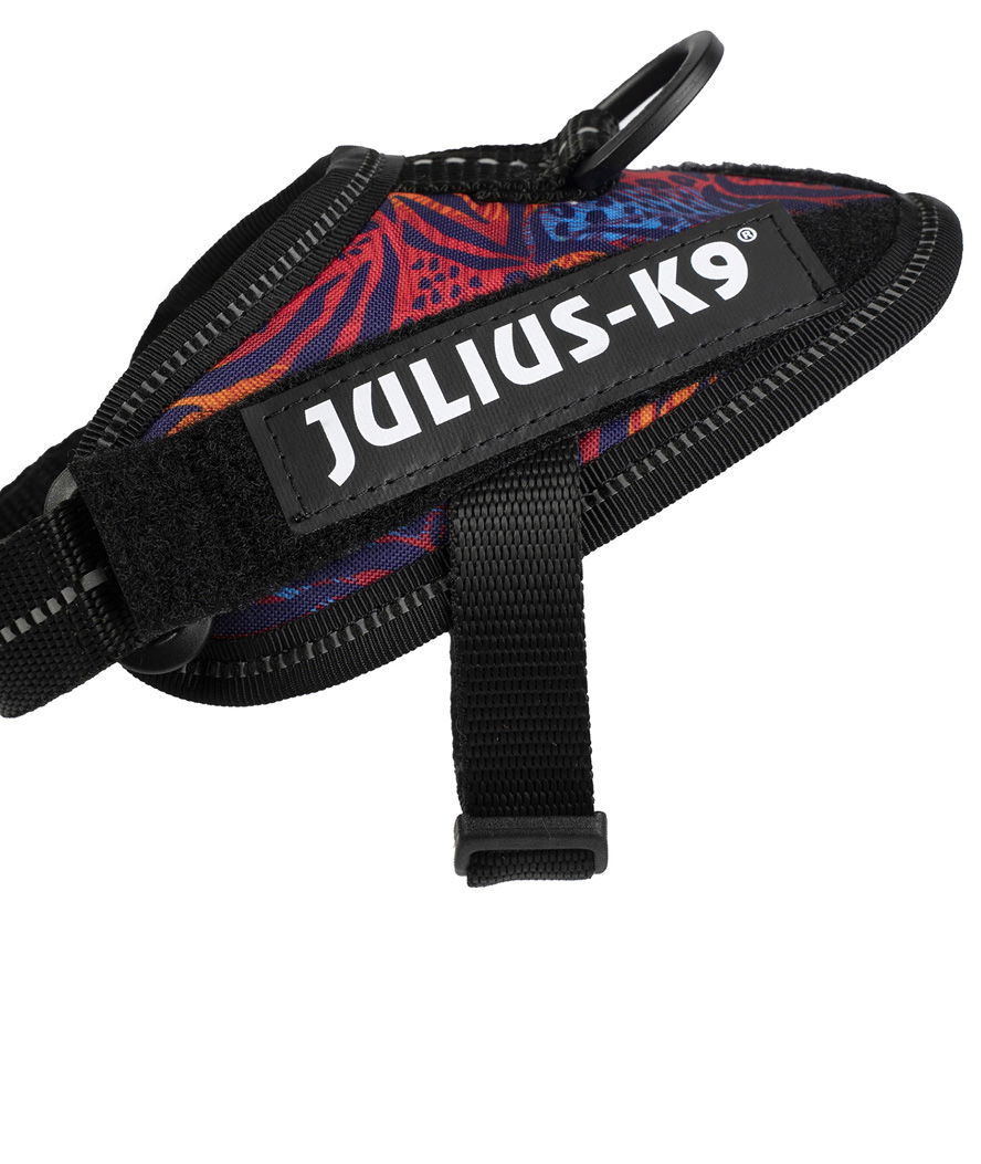 Pettorina Julius K9 IDC PowerHarness Tg Baby 1 torace 29-36 cm peso 0,8-3 kg - foto 15