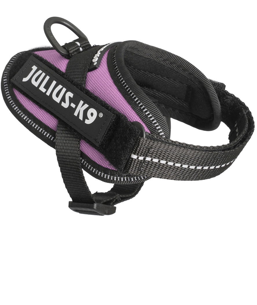 Pettorina Julius K9 IDC PowerHarness Tg Baby 1 torace 29-36 cm peso 0,8-3 kg - foto 3