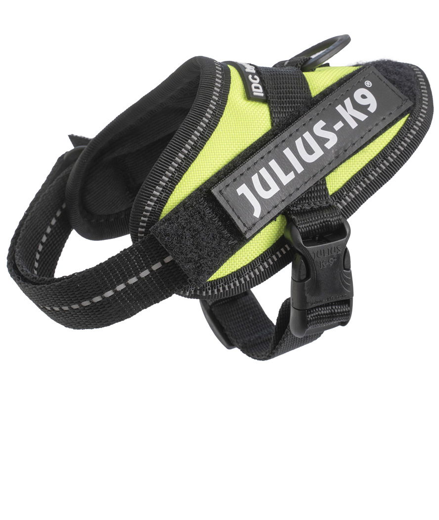 Pettorina Julius K9 IDC PowerHarness Tg Baby 1 torace 29-36 cm peso 0,8-3 kg - foto 5