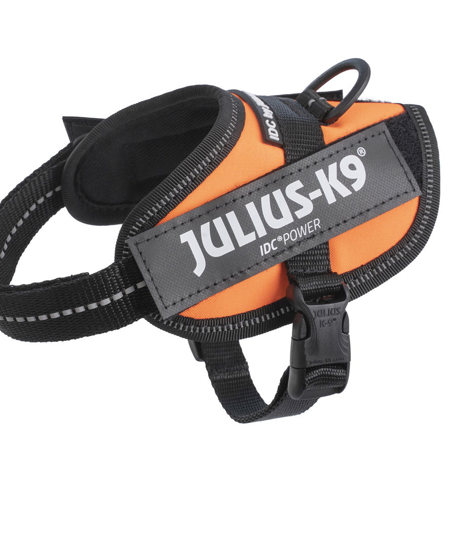 Pettorina IDC Power Harness Julius K9 Tg 2XS Baby 2 torace 33-45 cm peso 2-5 kg