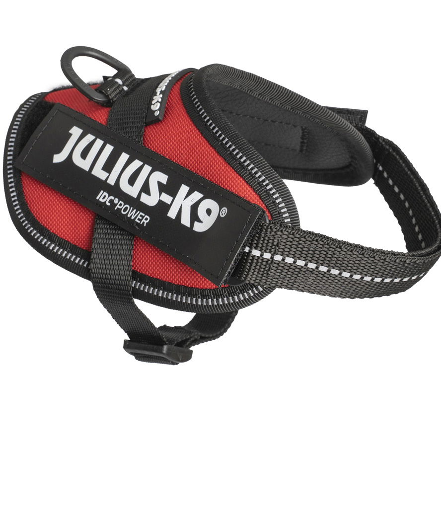 Pettorina IDC Power Harness Julius K9 Tg 2XS Baby 2 torace 33-45 cm peso 2-5 kg - foto 13