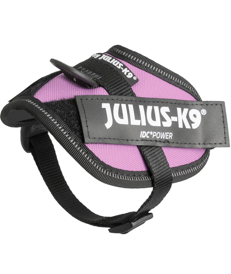 Pettorina IDC Power Harness Julius K9 Tg 2XS Baby 2 torace 33-45 cm peso 2-5 kg - foto 4