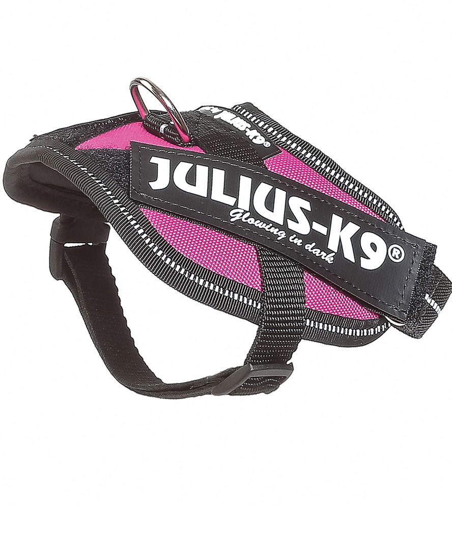 Pettorina IDC Power Harness Julius K9 Tg 2XS Baby 2 torace 33-45 cm peso 2-5 kg - foto 5