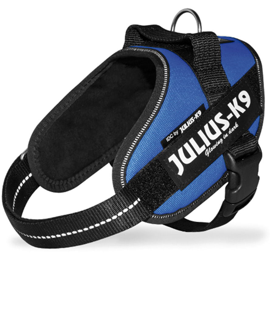 Pettorina Julius K9 IDC PowerHarness Tg mini torace 49-67 cm peso 7-15 kg - foto 1