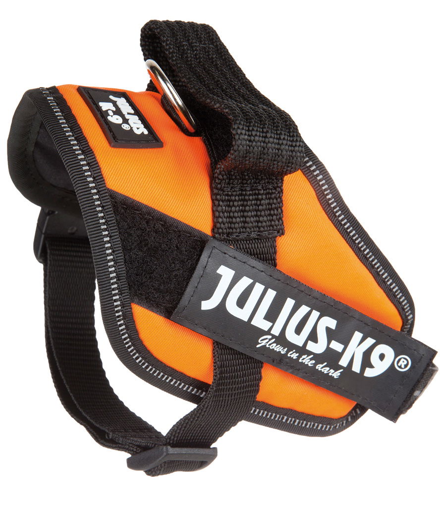 Pettorina Julius K9 IDC PowerHarness Tg mini torace 49-67 cm peso 7-15 kg - foto 11