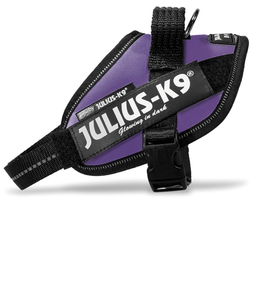 Pettorina Julius K9 IDC PowerHanrness Tg Mini misura S torace 49-67 cm peso 7-15 kg - foto 12