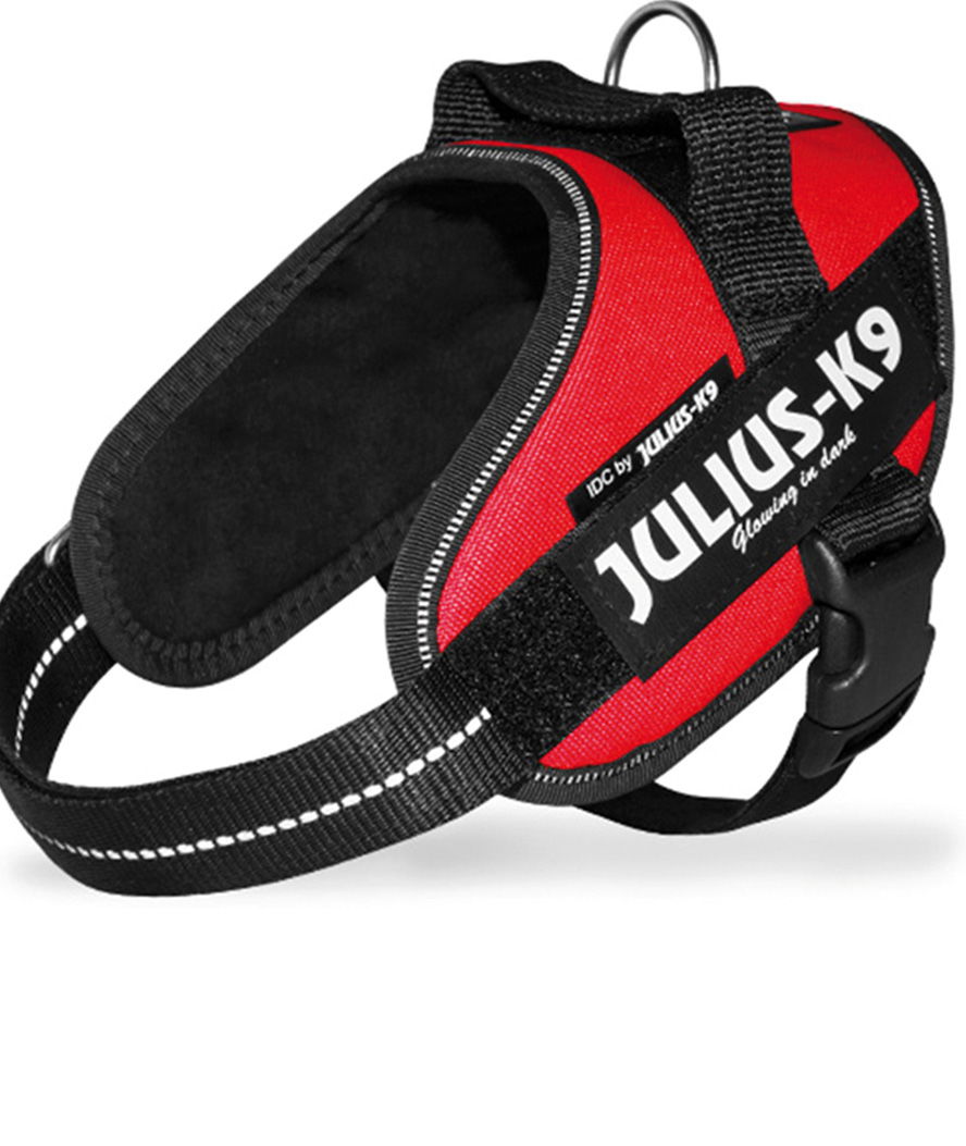 Pettorina Julius K9 IDC PowerHarness Tg mini torace 49-67 cm peso 7-15 kg - foto 14