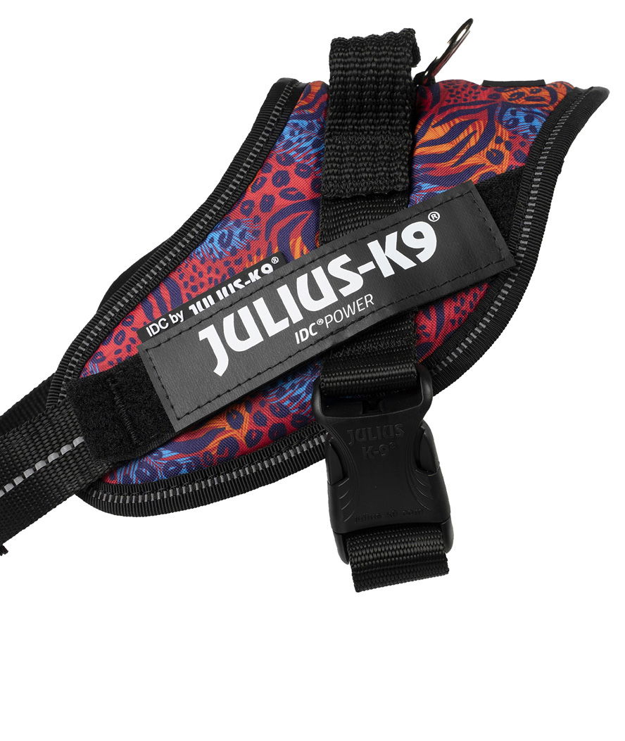 Pettorina Julius K9 IDC PowerHarness Tg mini torace 49-67 cm peso 7-15 kg - foto 15