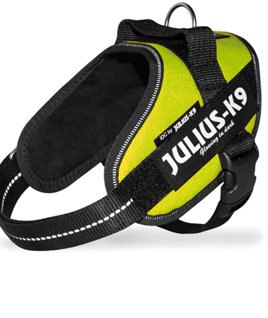 Pettorina Julius K9 IDC PowerHarness Tg mini torace 49-67 cm peso 7-15 kg - foto 17