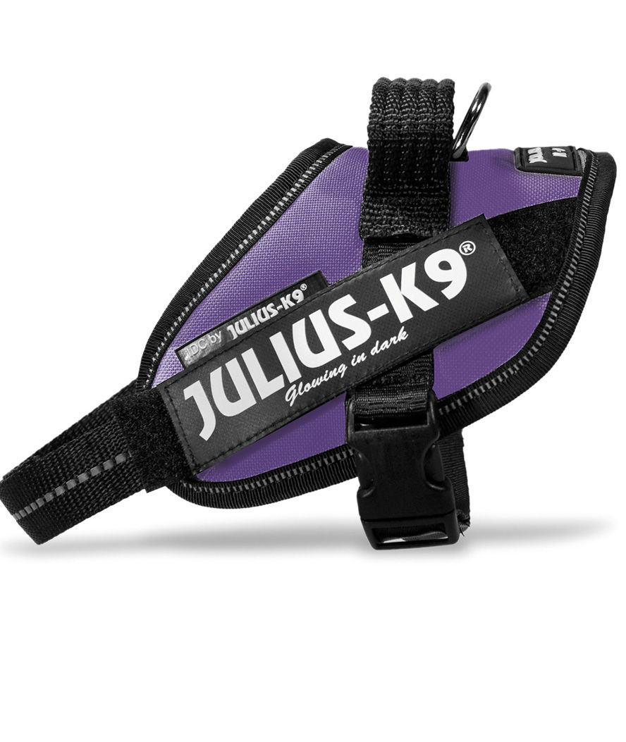 Pettorina Julius K9 IDC PowerHarness Tg Mini-Mini misura XS torace 40-53 cm peso 4-7 kg - foto 13