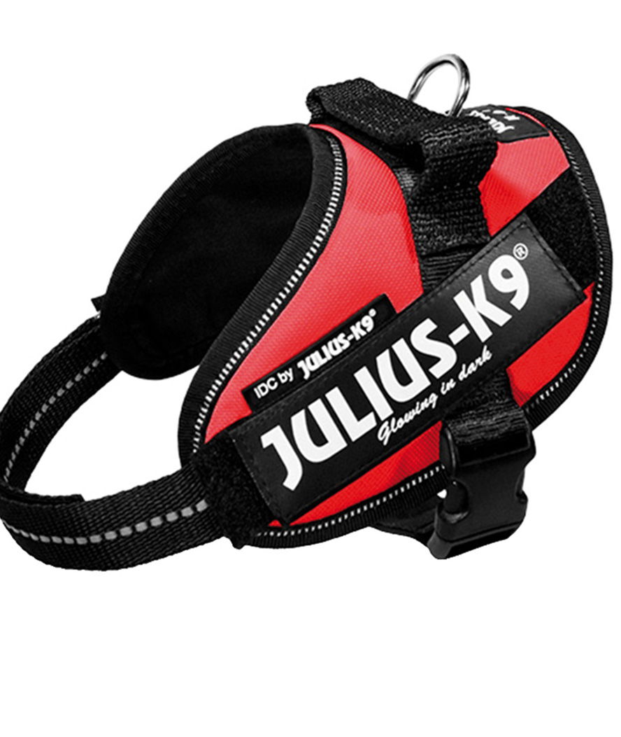 Pettorina Julius K9 IDC PowerHarness Tg Mini-Mini misura XS torace 40-53 cm peso 4-7 kg - foto 15