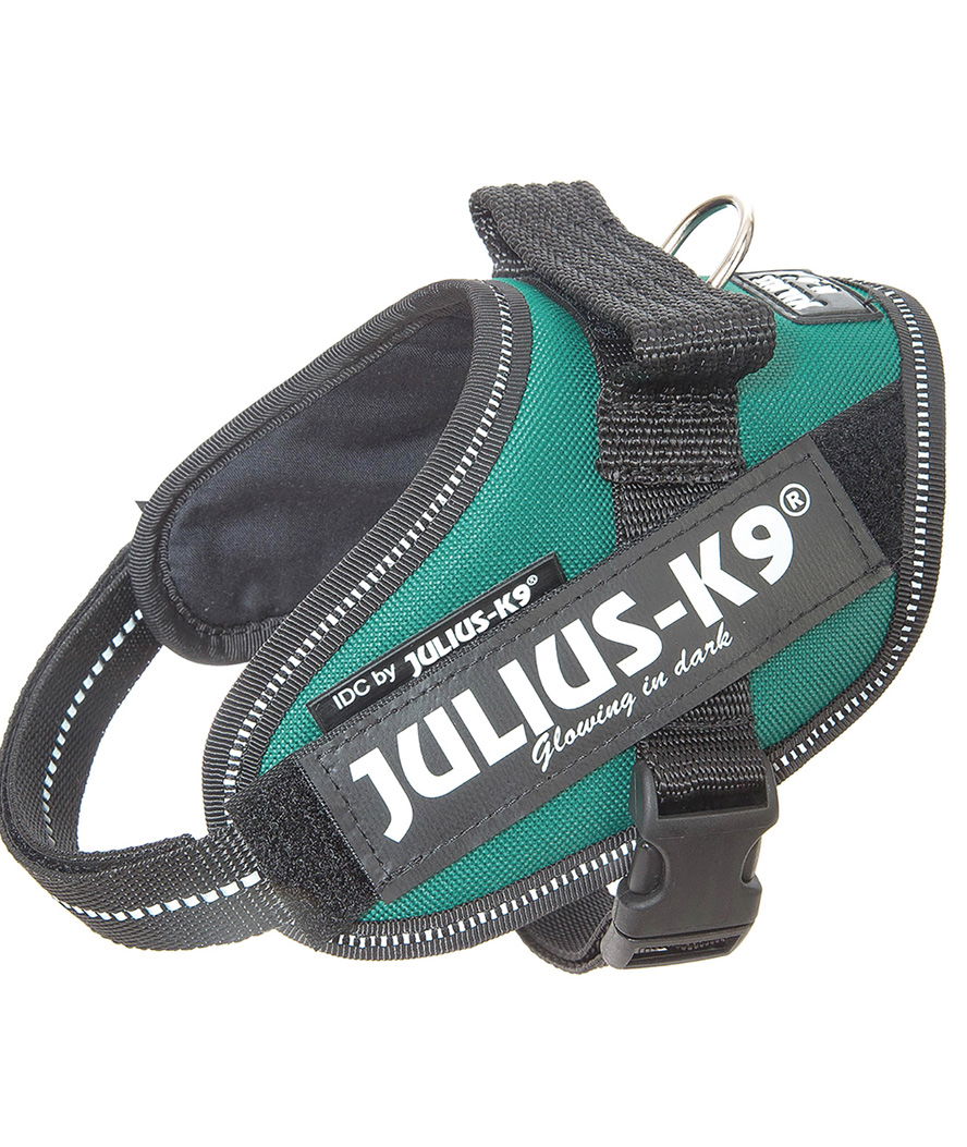 Pettorina Julius K9 IDC PowerHarness Tg Mini-Mini misura XS torace 40-53 cm peso 4-7 kg - foto 18