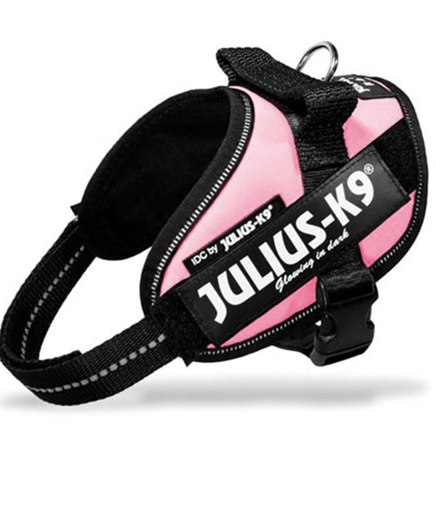 Pettorina Julius K9 IDC PowerHarness Tg Mini-Mini misura XS torace 40-53 cm peso 4-7 kg - foto 2