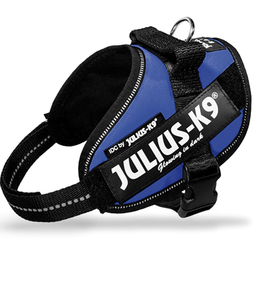 Pettorina Julius K9 IDC PowerHarness Tg Mini-Mini misura XS torace 40-53 cm peso 4-7 kg - foto 20