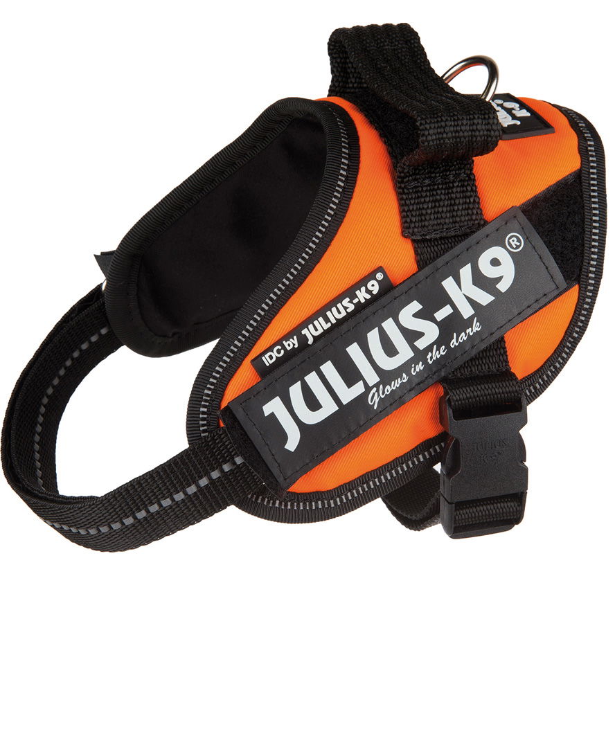 Pettorina Julius K9 IDC PowerHarness Tg Mini-Mini misura XS torace 40-53 cm peso 4-7 kg - foto 21