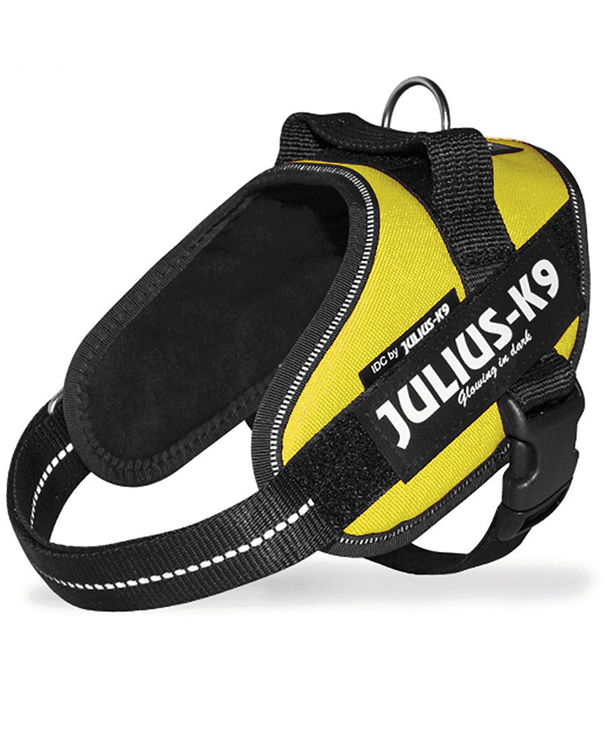 Pettorina Julius K9 IDC PowerHarness Tg Mini-Mini misura XS torace 40-53 cm peso 4-7 kg - foto 4