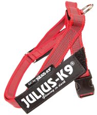 Pettorina Julius K9 per cani IDC Color & Gray Belt Harness Taglia 0