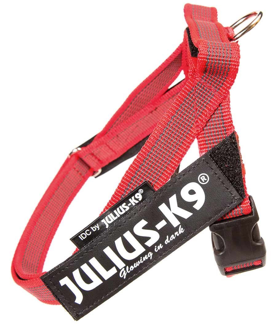Pettorina Julius K9 per cani IDC Color & Gray Belt size 0