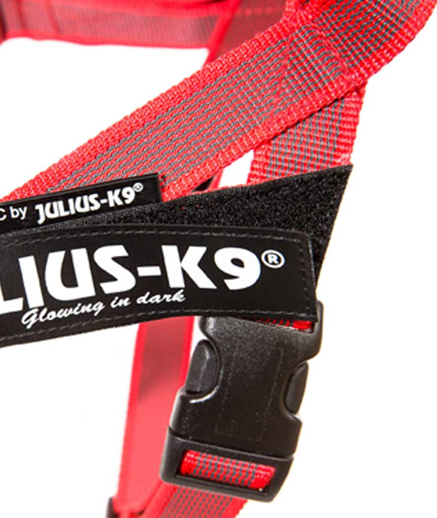 Pettorina Julius K9 IDC Harness Color & Gray Belt Tg Mini-Mini misura XS torace 40-53 peso 4-7 kg - foto 3